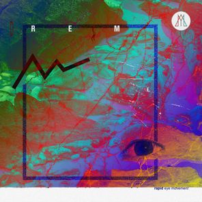 Rapid Eye Movements