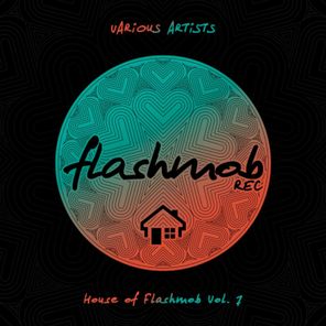 House of Flashmob, Vol. 7