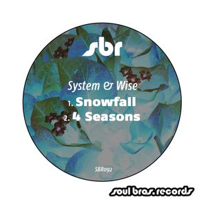 Snowfall / 4 Seasons