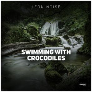 Swimming With Crocodiles