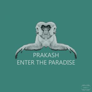 Enter the Paradise