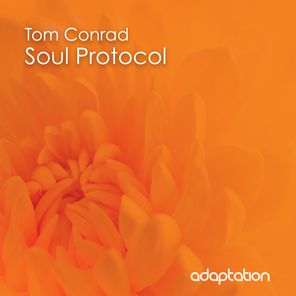 Soul Protocol