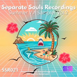 Separate Souls Recordings - Summer VA Sampler Vol 2