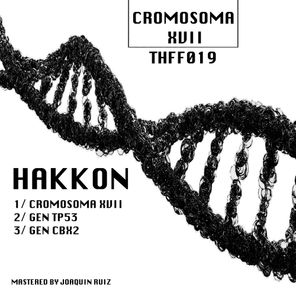 Cromosoma 17
