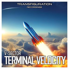 Terminal Velocity