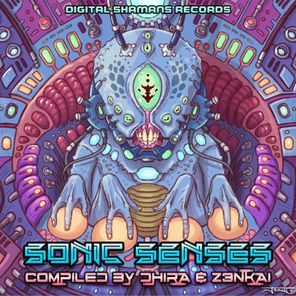 Sonic Senses - Compiled by Dhira & Z3Nkai