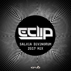 Salvia Divinorum 2017