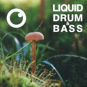 Liquid Drum & Bass Sessions 2020 Vol 39 : The Mix