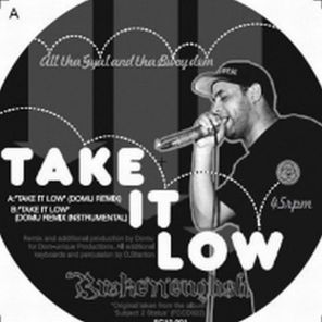 Take It Low - Domu Remix