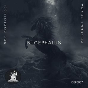 Bucephalus