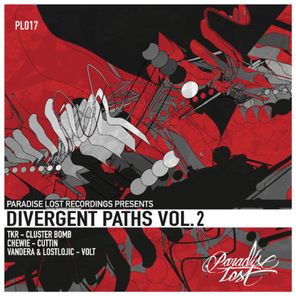 Divergent Paths Vol.2
