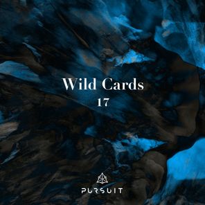 Wild Cards 17