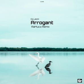 Arrogant (RaMuco Remix)