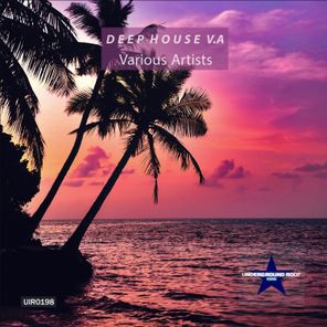 Deep House V.a