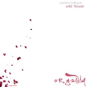 Wild Flower