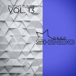 Flight Tunes Vol.13