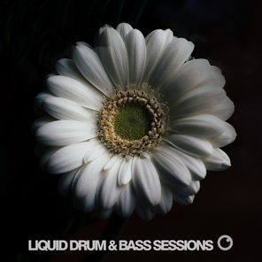 Liquid Drum and Bass Sessions 2019 Vol 2