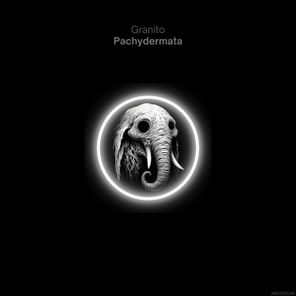 Pachydermata