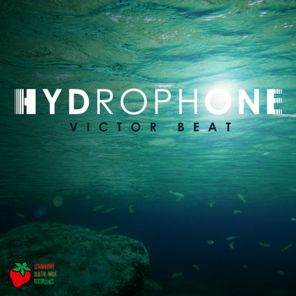 Hydrophone