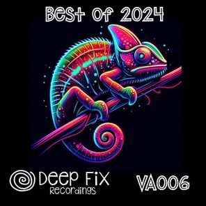 Deep Fix Recordings Best of 2024