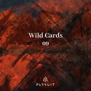 Wild Cards 09