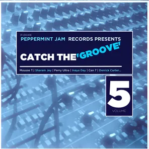 Peppermint Jam Records Pres., Catch the Groove, Vol. 5