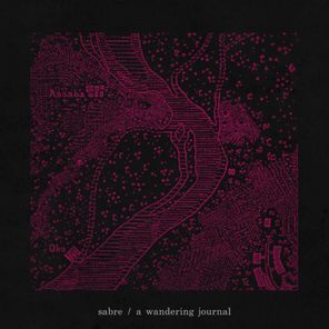 A Wandering Journal error