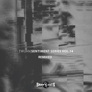 Sentiment Series Vol.14 - Remixed