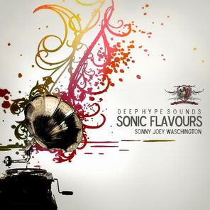 Sonic Flavours