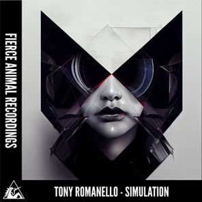 Simulation