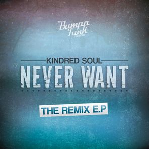 Never Want -  Remixes