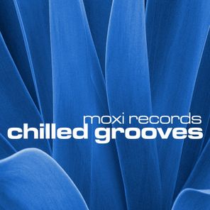 Chilled Grooves, Vol. 6
