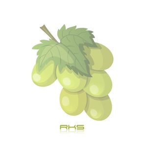 Green Grape