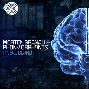 Pineal Gland