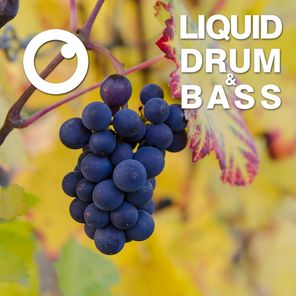 Liquid Drum & Bass Sessions 2020 Vol 15 : The Mix