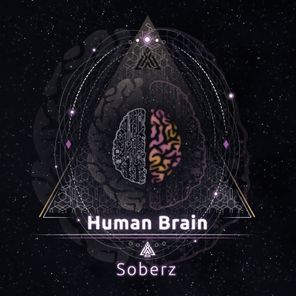 Human Brain