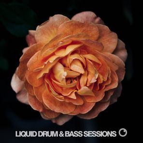 Liquid Drum & Bass Sessions 2019 Vol 4