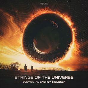 Strings of the Universe