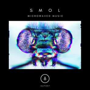Microwaved Music