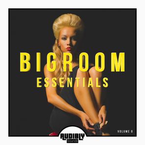 Bigroom Essentials, Vol. 8