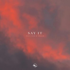 Say It