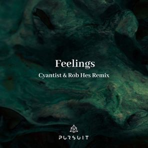 Feelings Remix