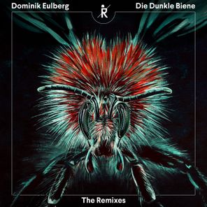 Die Dunkle Biene (Robag Wruhme Remix)