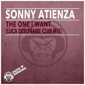 The One I Want (Luca Debonaire Club Mix)