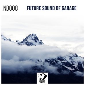 Future Sound of Garage