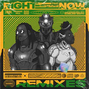 Right Now (Remixes)