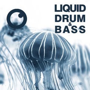 Liquid Drum & Bass Sessions 2020 Vol 33 : The Mix