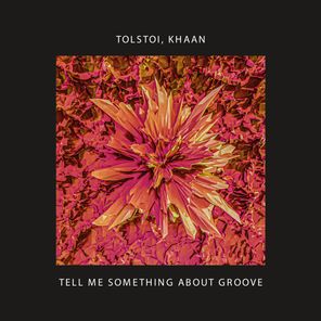Tell Me Something About Groove