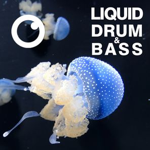 Liquid Drum & Bass Sessions 2020 Vol 23 : The Mix