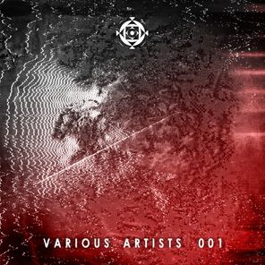 Various Artists 001